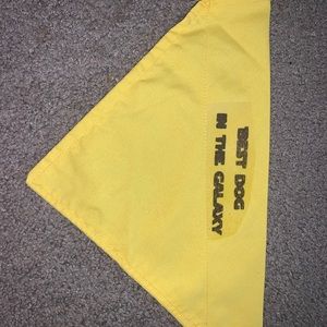 Over the collar bandana